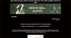 Desktop Screenshot of beechhillsaints.com